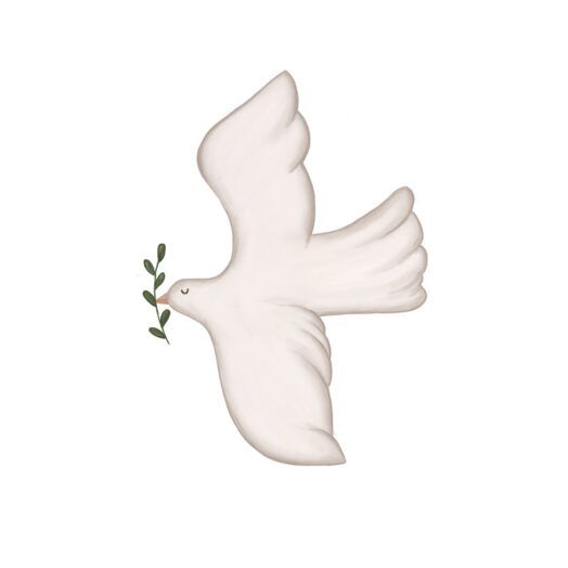 متجر سلام